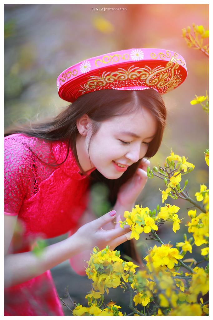 落花时节又逢君电视剧免费观看